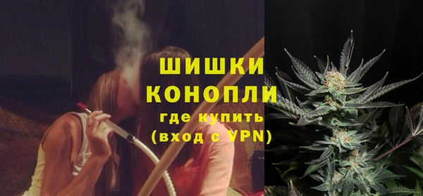 гидра Аркадак