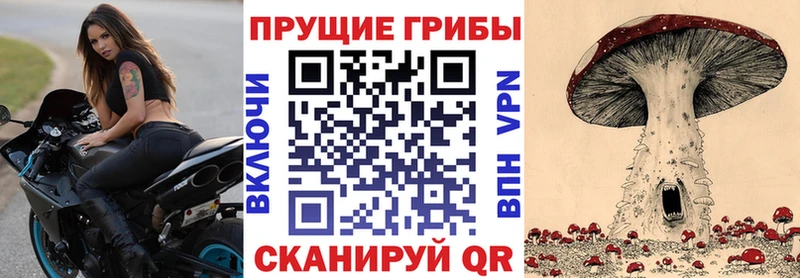 Галлюциногенные грибы MAGIC MUSHROOMS  даркнет наркотические препараты  Калач 